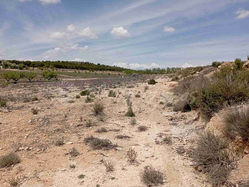 Helårsgrund i Yecla, Murcia - foto 3
